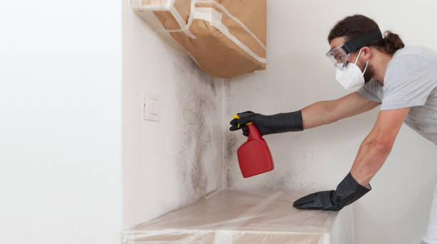 Professional Mold Removal technician working in Weston, NJ