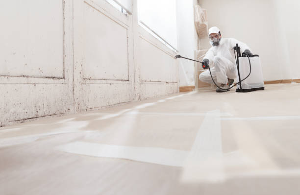 24/7 Emergency Mold Removal experts in Weston, NJ