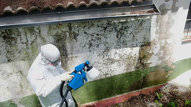 Top rated local Mold Removal specialists in Weston, NJ